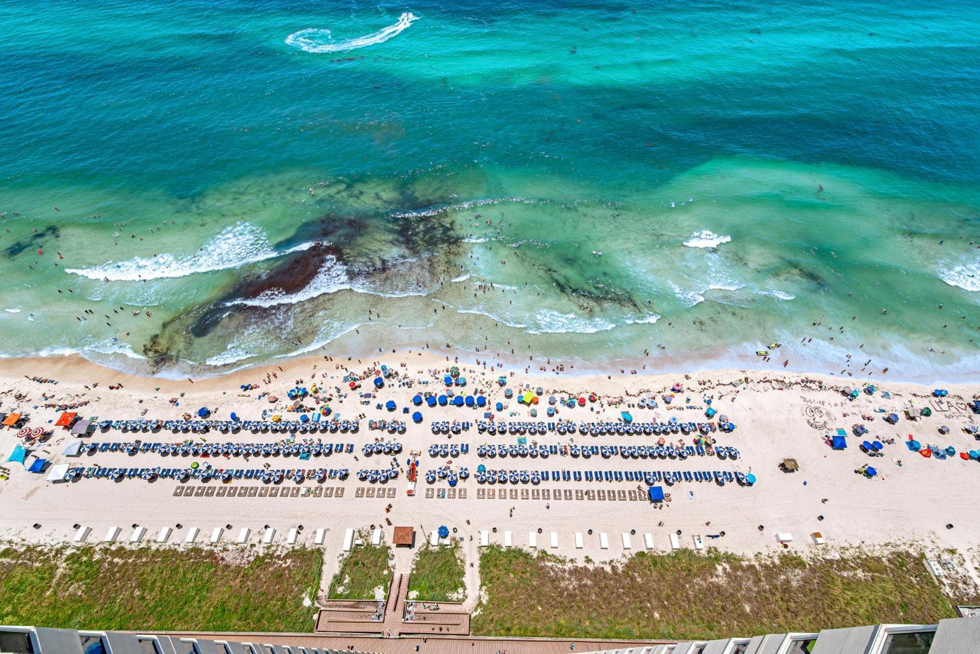 Tidewater Beach Resort Panama City Beach Dış mekan fotoğraf